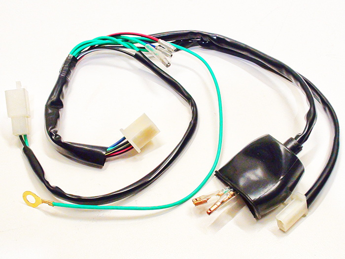 Pitbike Wiring Harness - various horizontal engines